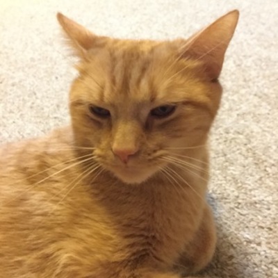 Timeline: my life;(      And more.....