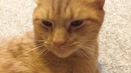 Timeline: my life;(      And more.....