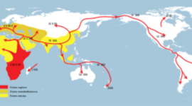 Timeline: Human Migration