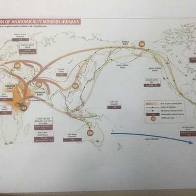 Timeline: Human Migration