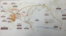 Timeline: Human Migration