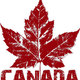 Canada maple leaf
