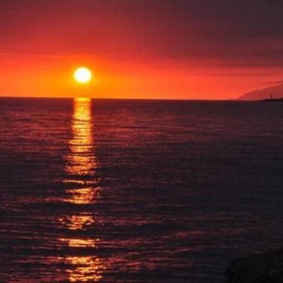 Timeline: English homework