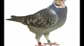 Timeline: L'edat Mitjana by Julen