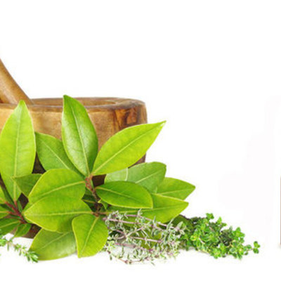 Timeline: terapias naturales