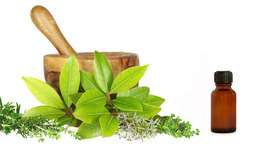 Timeline: terapias naturales