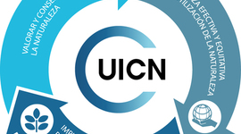 Timeline: Linea del tiempo de las ANP's a nivel Mundial