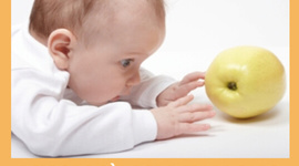 Timeline: Principales Exponentes Teóricos y sus Aportes en la Psicología del Desarrollo