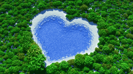 Timeline: terapias naturales