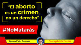 Timeline: LA DESPENALIZACION DEL ABORTO .