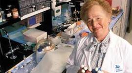 Timeline: BIOQUIMICA Y FARMACOLOGA.