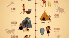 Timeline: Evolucion de la Alimentacion y Educación