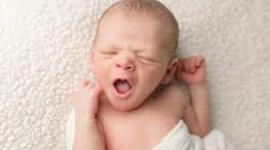 Timeline: Estimulacion temprana