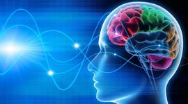 Timeline: Historia de la neurociencia