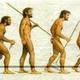 Evolucion