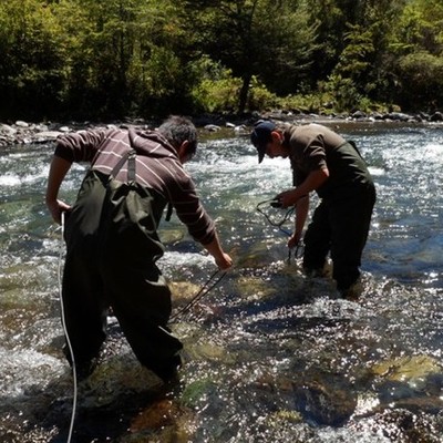 Timeline: LIMNOLOGIA ATRAVES DEL TIEMPO