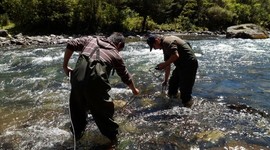 Timeline: LIMNOLOGIA ATRAVES DEL TIEMPO