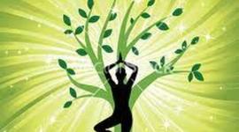 Timeline: TERAPIAS NATURALES (Johanna Tolosa)