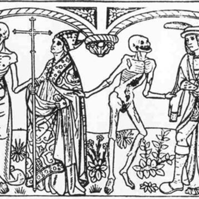 Timeline: Terapias Naturales