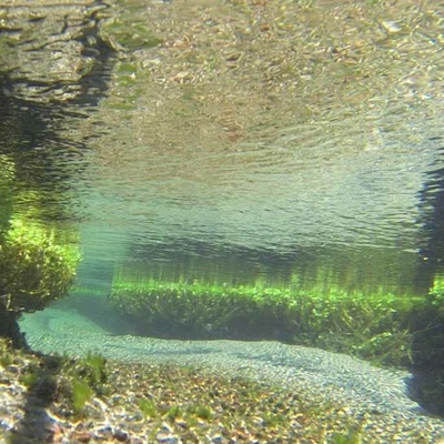 Timeline: HISTORIA DE LA LIMNOLOGIA Y MICROBILOGIA