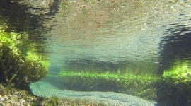 Timeline: HISTORIA DE LA LIMNOLOGIA Y MICROBILOGIA