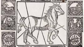 Timeline: Historia de la medicina veterinaria