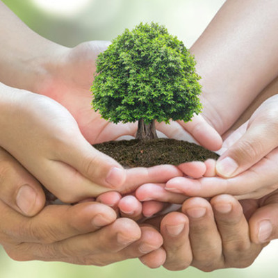 Timeline: Problemáticas Ambientales