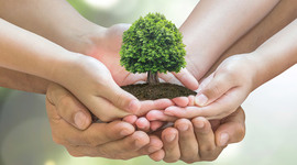 Timeline: Problemáticas Ambientales