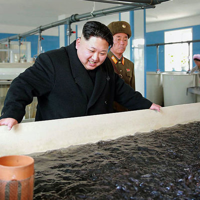 Timeline: Korean War timeline