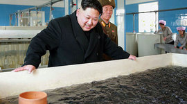 Timeline: Korean War timeline