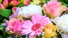 Timeline: Spanish Timeline Project