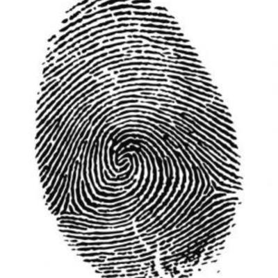 Timeline: CSI History