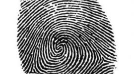 Timeline: CSI History