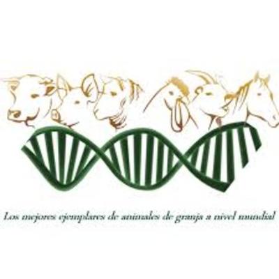 Timeline: Antecedentes históricos de la genética