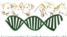 Timeline: Antecedentes históricos de la genética