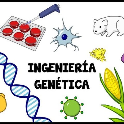 Timeline: Desarrollo De Ingenieria Génetica