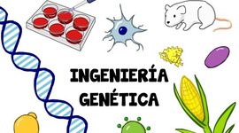 Timeline: Desarrollo De Ingenieria Génetica