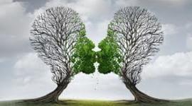 Timeline: Terapias Naturales