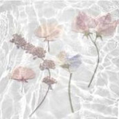 Timeline: Origen y evolución de las TIC's.