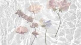 Timeline: Origen y evolución de las TIC's.