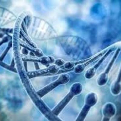 Timeline: Principales descubrimientos del DNA