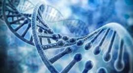 Timeline: Principales descubrimientos del DNA