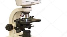 Timeline: Історія мікроскопа