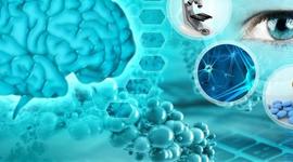 Timeline: NEUROCIENCIAS