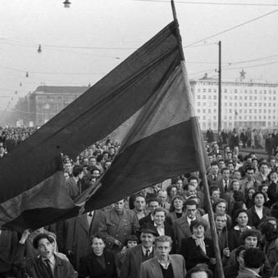 Timeline: PetVirPanDi