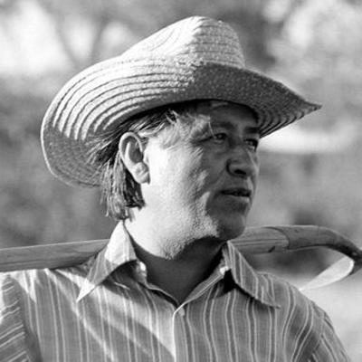 Timeline: Cesar Chavez
