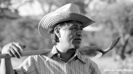 Timeline: Cesar Chavez