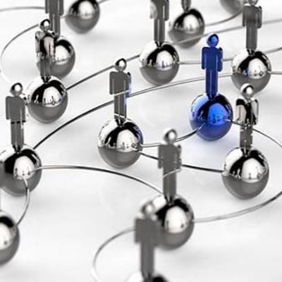 Timeline: Cronología de la primera raíz del D.O.