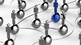 Timeline: Cronología de la primera raíz del D.O.