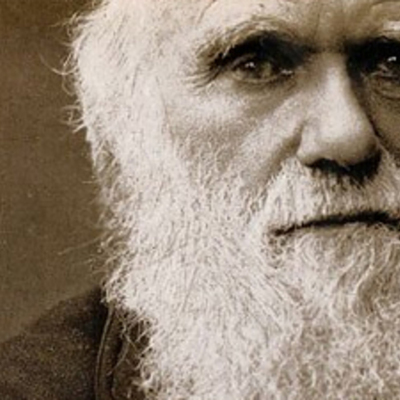 Timeline: La primera Transformación